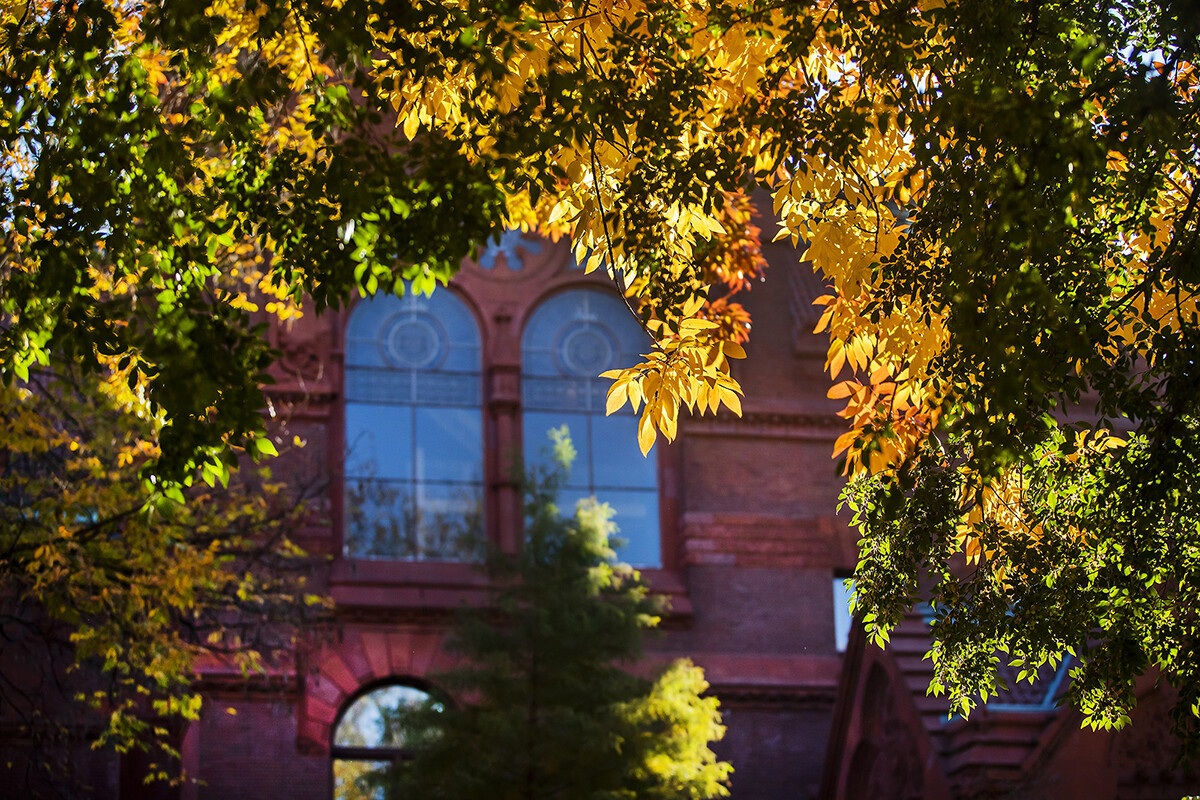 campus arched windows captured through fall leaves