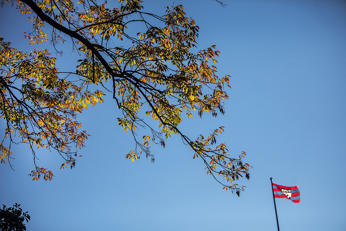 tree branch with fall leaves and penn flag in the sky