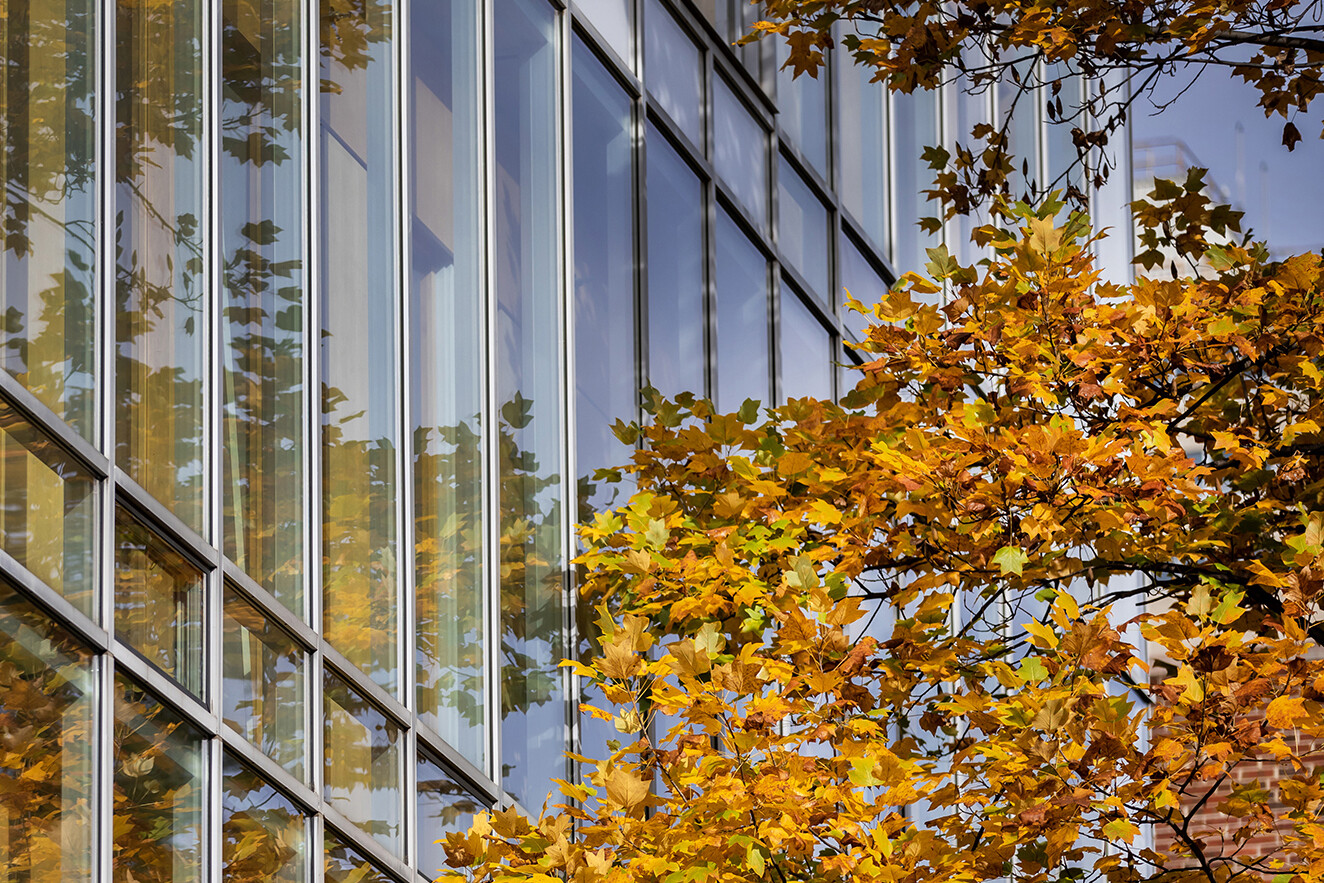 glass wall reflecting fall leaves on campus