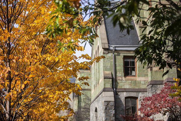 cohen hall behind fall leaves