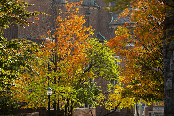 fall trees on campus with lamp post