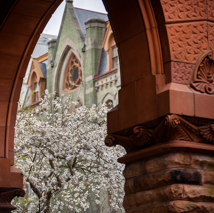 view of college hall and flowers through archway