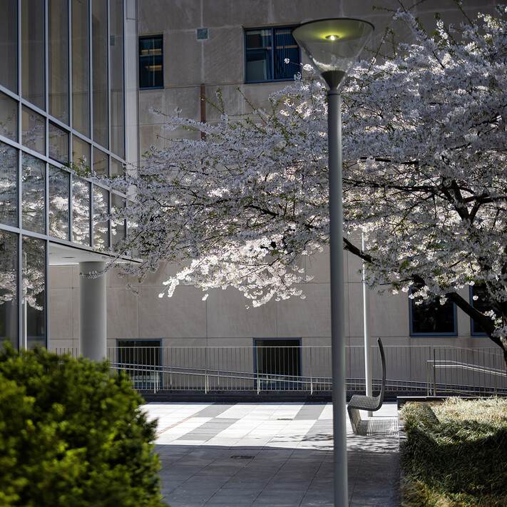 lamp post and bench in campus courtyard 