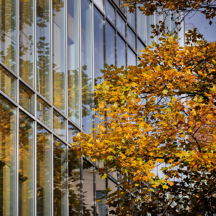 glass-walled building with fall leaves reflection