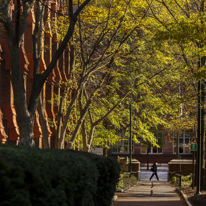 path along a wall with a person walking by at the end